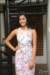 Anisha Ambrose at Run Movie Gummadikaya Function